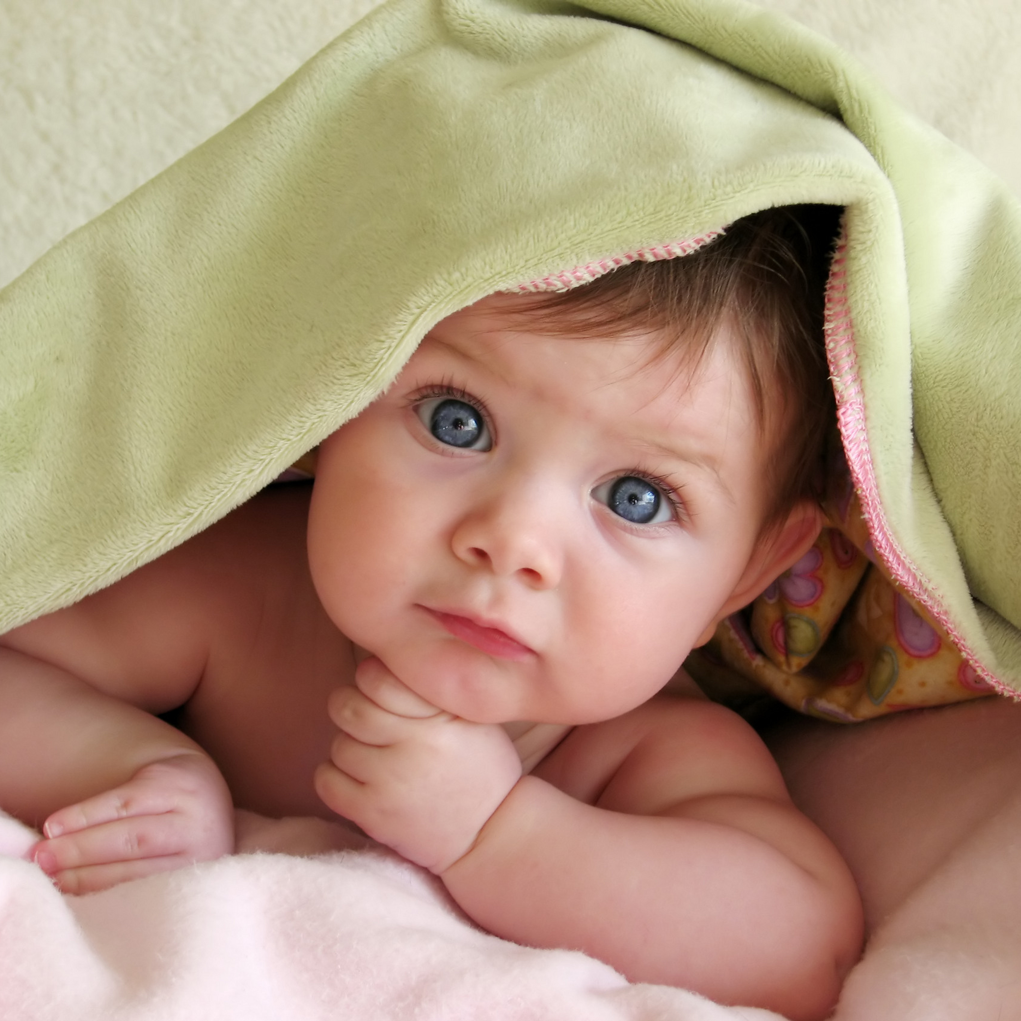 shutterstock_2808359